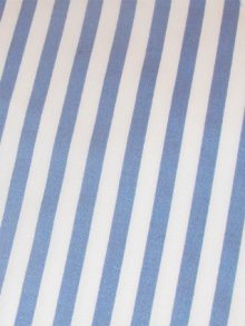 2010 Stripes Blue - white